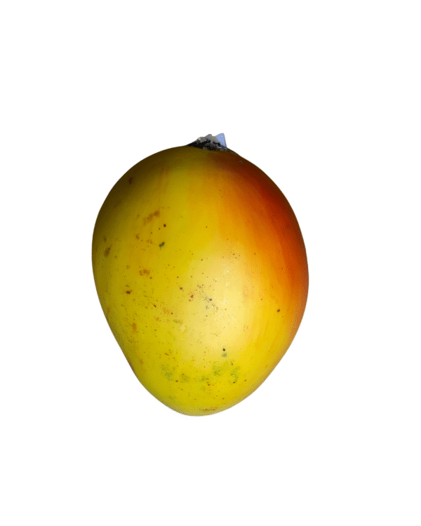 FRUTAS EN RESINA🍎🍊🍇 - Imagen 17