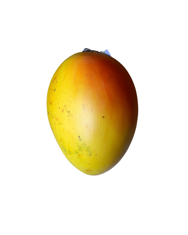 FRUTAS EN RESINA🍎🍊🍇 - Imagen 18