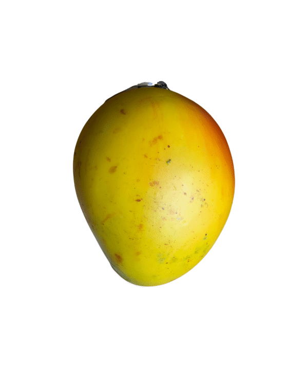 FRUTAS EN RESINA🍎🍊🍇 - Imagen 19