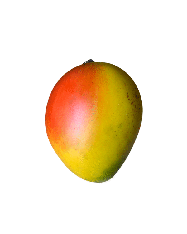 FRUTAS EN RESINA🍎🍊🍇 - Imagen 21