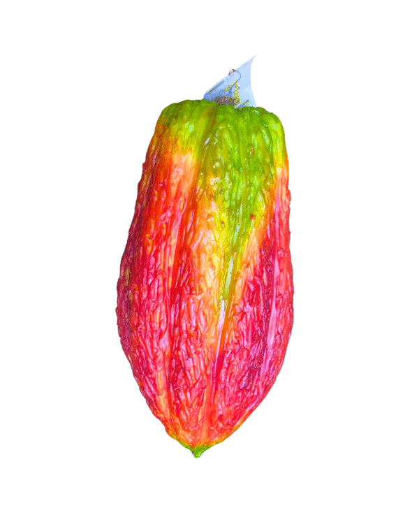 FRUTAS EN RESINA🍎🍊🍇 - Imagen 24